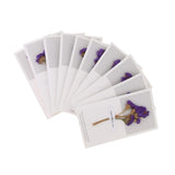 Maxbell 10pcs Dried Flowers Greeting Floral Thank You Cards Myosotis Purple