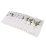 Maxbell 10pcs Dried Flowers Greeting Floral Thank You Cards Limonium