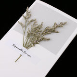 Maxbell 10pcs Dried Flowers Greeting Floral Thank You Cards Limonium