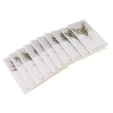 Maxbell 10pcs Dried Flowers Greeting Floral Thank You Cards Limonium