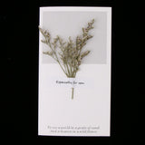 Maxbell 10pcs Dried Flowers Greeting Floral Thank You Cards Limonium