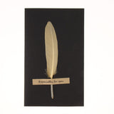 Max 10pcs Handmade Feather Greeting Thank You Cards Wedding Birthday Champagne