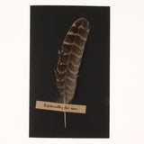 Maxbell Black handmade DIY feather card A