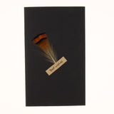 Maxbell Black handmade DIY feather card B