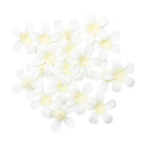 Maxbell 200 Pieces Artificial Silk Rose Petals Wedding Flower Mixed Color  Beige