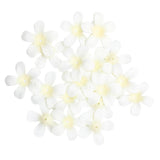 Maxbell 200 Pieces Artificial Silk Rose Petals Wedding Flower Mixed Color  Beige