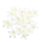 Maxbell 200 Pieces Artificial Silk Rose Petals Wedding Flower Mixed Color  Beige