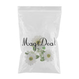 Max Artificial Big Daisy Hairpin Hair Clips Flower Brooch for Women Party White