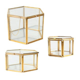 Maxbell Hexagon Brass Glass Geometric Terrarium Succulent Planter Wedding Favors 14 x 14 x 9.5 cm