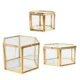 Maxbell Hexagon Brass Glass Geometric Terrarium Succulent Planter Wedding Favors 14 x 14 x 9.5 cm