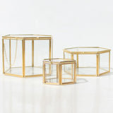 Maxbell Hexagon Brass Glass Geometric Terrarium Succulent Planter Wedding Favors 14 x 14 x 9.5 cm