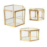 Maxbell Hexagon Brass Glass Geometric Terrarium Succulent Planter Wedding Favors 14 x 14 x 9.5 cm