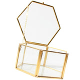 Maxbell Hexagon Brass Glass Geometric Terrarium Succulent Planter Wedding Favors 12.5 x 12.5 x 6 cm