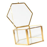 Maxbell Hexagon Brass Glass Geometric Terrarium Succulent Planter Wedding Favors 12.5 x 12.5 x 6 cm