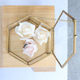 Maxbell Hexagon Brass Glass Geometric Terrarium Succulent Planter Wedding Favors 12.5 x 12.5 x 6 cm