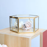 Maxbell Hexagon Brass Glass Geometric Terrarium Succulent Planter Wedding Favors 12.5 x 12.5 x 6 cm