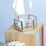 Maxbell Hexagon Brass Glass Geometric Terrarium Succulent Planter Wedding Favors 12.5 x 12.5 x 6 cm