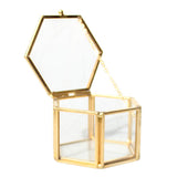 Maxbell Hexagon Brass Glass Geometric Terrarium Succulent Planter Wedding Favors 8 x 6.8 x 4.5 cm