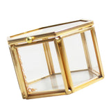 Maxbell Hexagon Brass Glass Geometric Terrarium Succulent Planter Wedding Favors 8 x 6.8 x 4.5 cm