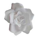 Maxbell DIY Foam Flowers Wall Art Backdrop Decor Wedding Photo Prop Decor White