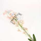 Maxbell Silk Orchid Flower Wedding Party Bouquet DIY Crafts Home Decor Champagne
