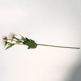 Maxbell Artificial Silk Peony Flower DIY Bouquet Wedding Home Decoration Champagne
