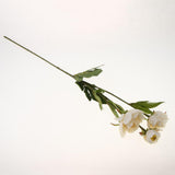 Maxbell Artificial Silk Peony Flower DIY Bouquet Wedding Home Decoration Champagne