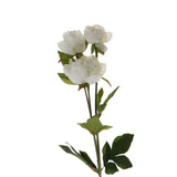 Maxbell Artificial Silk Peony Flower DIY Bouquet Wedding Home Decoration White