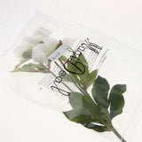 Maxbell Artificial Silk Peony Flower DIY Bouquet Wedding Home Decoration White