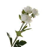 Maxbell Artificial Silk Peony Flower DIY Bouquet Wedding Home Decoration White