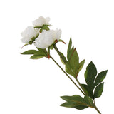 Maxbell Artificial Silk Peony Flower DIY Bouquet Wedding Home Decoration White