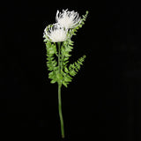 Maxbell Simulation Pincushion Flower Garden Decorative Flowers with Stem White