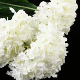 Maxbell 5 Heads Artificial Silk Fake Flower Home Bridal Wedding Decoration DIY  White