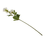 Maxbell Artificial Clematis Flower Leaf Home Wedding Decor Bridal Bouquet White