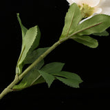 Maxbell Artificial Clematis Flower Leaf Home Wedding Decor Bridal Bouquet Champagne