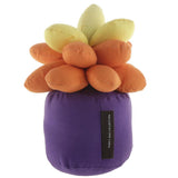 Max Artificial Succulent Plants Bamboo Charcoal Bags Car Decor Ornaments Orange