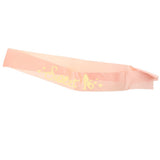 Max Sweet 16 Girls Birthday Satin Sash Birthday Girls Sash Ribbon  Champagne