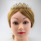 Max 1 PC Bride Crown Headband Rhinestone Plum Crown Bridal Jewelry Golden