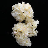 Max 6Pcs Artificial Hydrangea Flower Head DIY Wedding Decor Light yellow