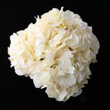 Max 6Pcs Artificial Hydrangea Flower Head DIY Wedding Decor Light yellow