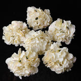 Max 6Pcs Artificial Hydrangea Flower Head DIY Wedding Decor Light yellow