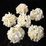 Max 6Pcs Artificial Hydrangea Flower Head DIY Wedding Decor Light yellow