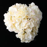Max 6Pcs Artificial Hydrangea Flower Head DIY Wedding Decor Light yellow