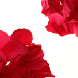 Max 6pcs Artificial Hydrangea Flower Head DIY Wedding Decor Rose red