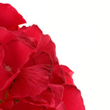 Max 6pcs Artificial Hydrangea Flower Head DIY Wedding Decor Rose red