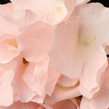 Max 6pcs Artificial Hydrangea Flower Head DIY Wedding Decor Pink rose green