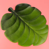 Max Artificial Monstera Leaves Tropical Palm Leaves Placemat Table Decoration B