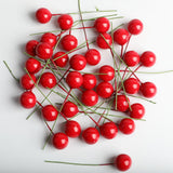 Maxbell 100 Pieces Mini Berries Artificial Foam Flower Fruit Stamens Decor Red