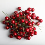Maxbell 100 Pieces Mini Berries Artificial Foam Flower Fruit Stamens Decor Wine Red