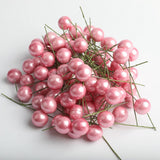 Maxbell 100 Pieces Mini Berries Artificial Foam Flower Fruit Stamens Decor Pink